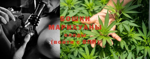 кокс Белокуриха