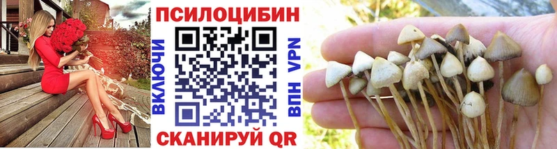 Галлюциногенные грибы ЛСД  наркотики  Онега 